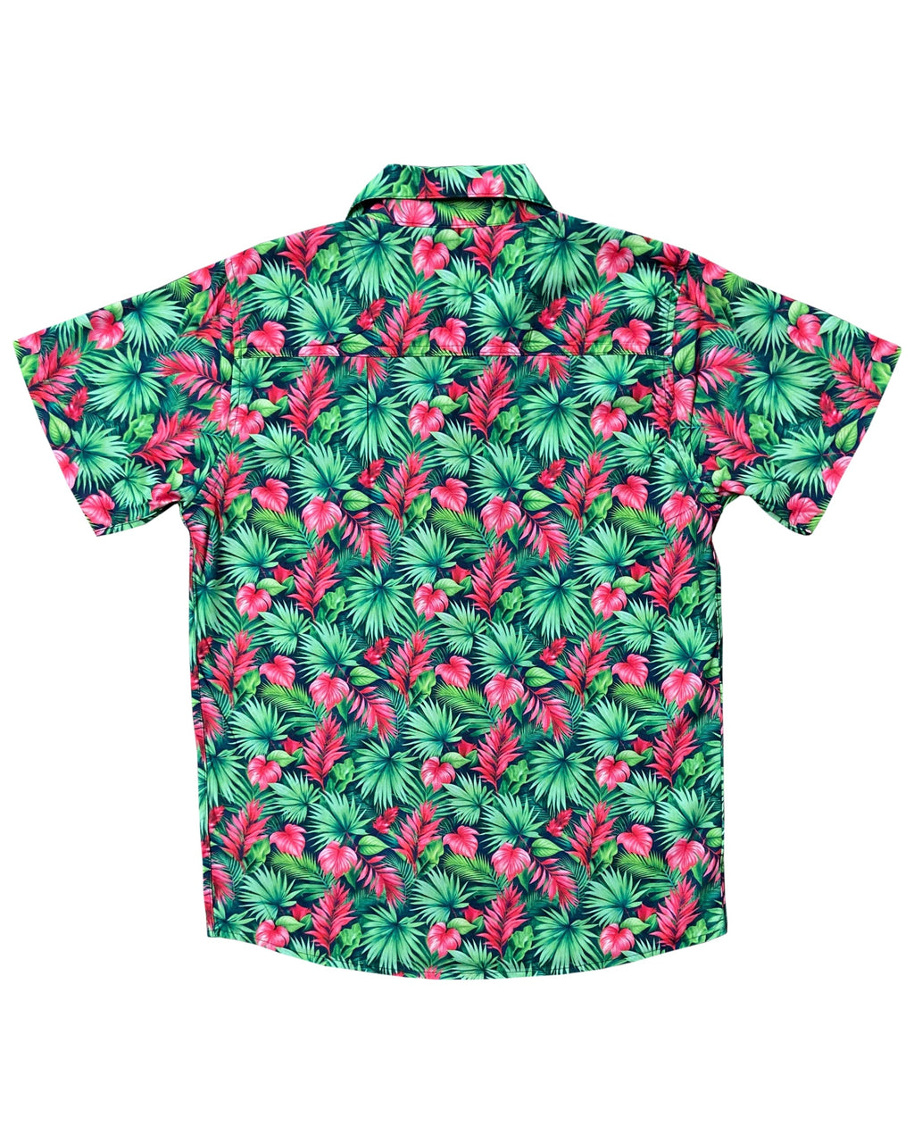 Exotic Shirt 50% off